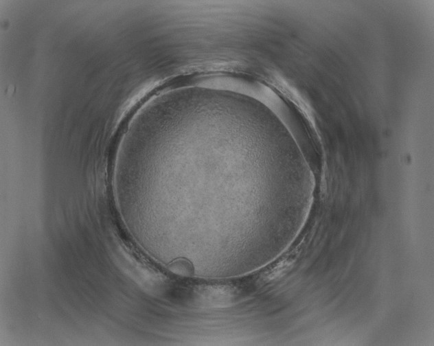 X0000063450107200601201230