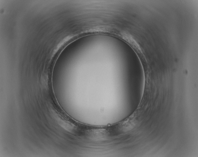 X0000063450108200601201230