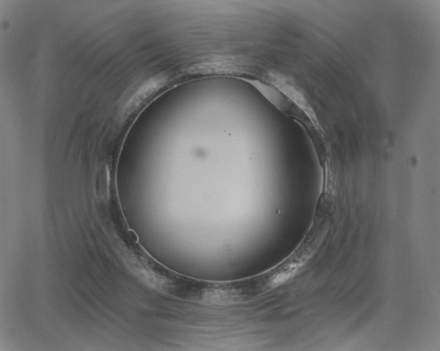 X0000063450109200601201230