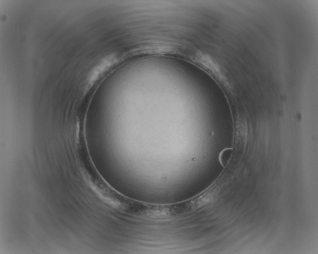 X0000063450110200601201230