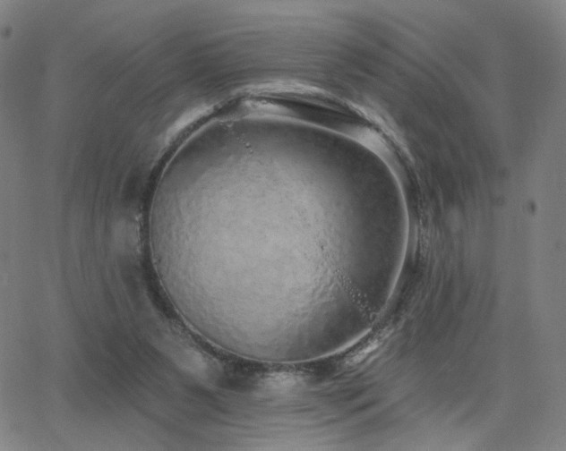 X0000063450111200601201230