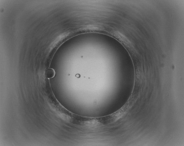 X0000063450112200601201230