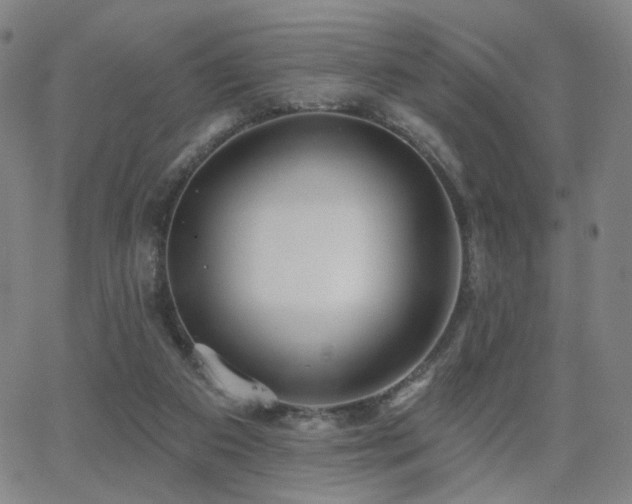 X0000063450113200601201230