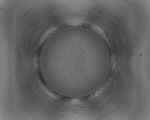 X0000063450114200601201230