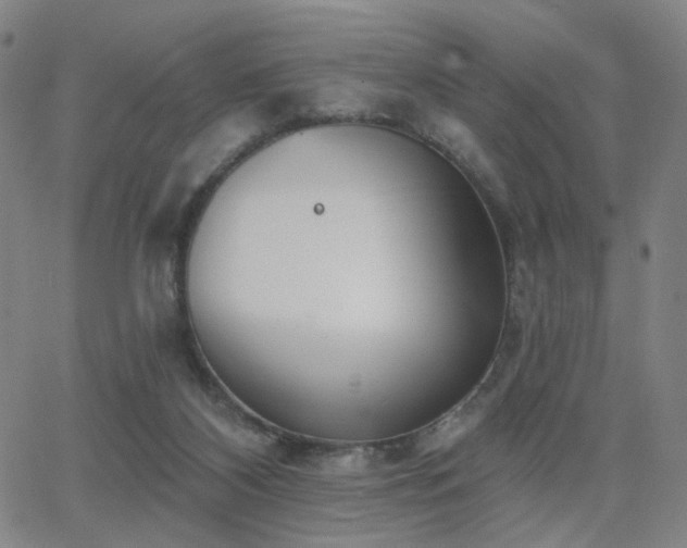 X0000063450116200601201230