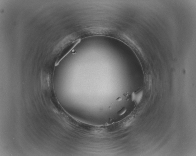 X0000063450117200601201230