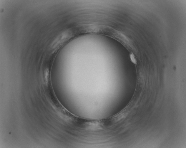 X0000063450118200601201230