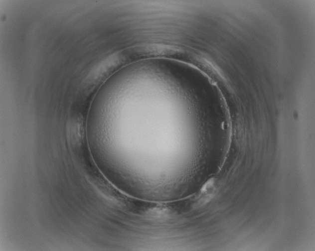 X0000063450119200601201230