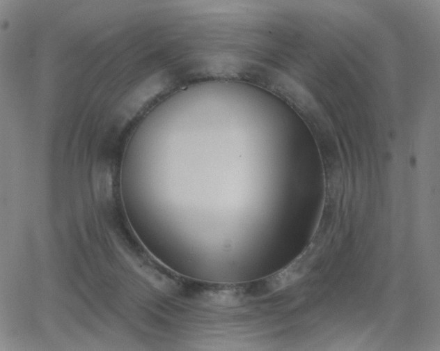 X0000063450120200601201230