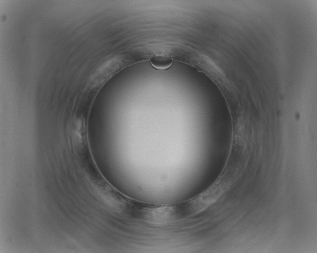 X0000063450122200601201230