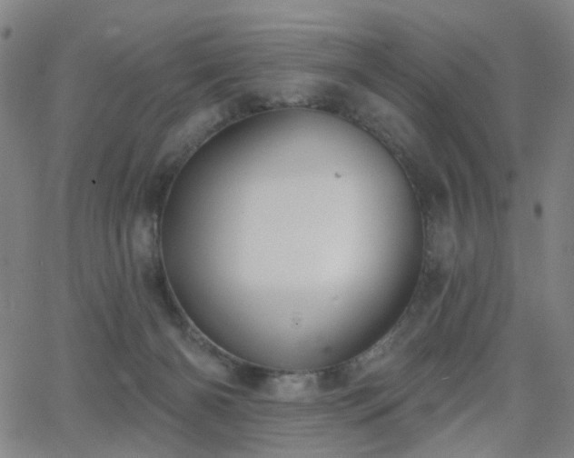 X0000063450126200601201230