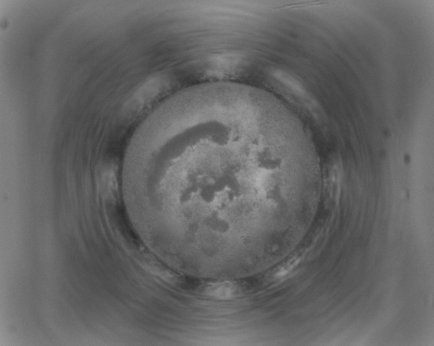 X0000063450127200601201230