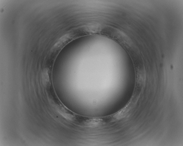 X0000063450128200601201230