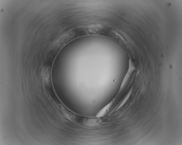 X0000063450129200601201230