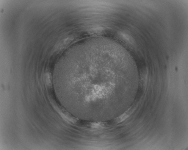 X0000063450130200601201230