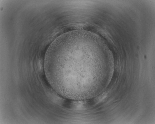 X0000063450131200601201230