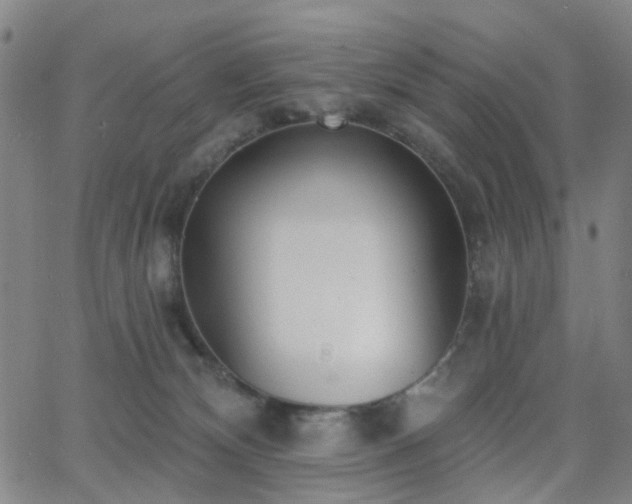 X0000063450132200601201230