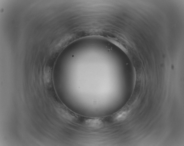 X0000063450133200601201230