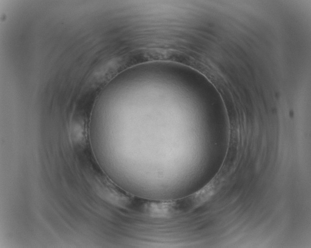 X0000063450134200601201230