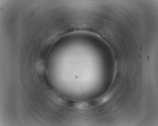 X0000063450135200601201230