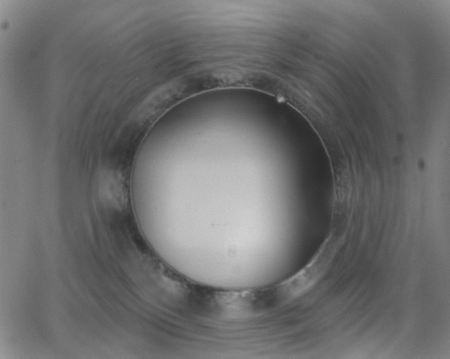 X0000063450136200601201230