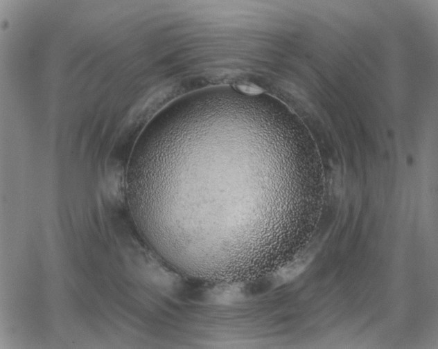 X0000063450138200601201230