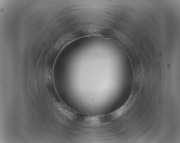 X0000063450140200601201230