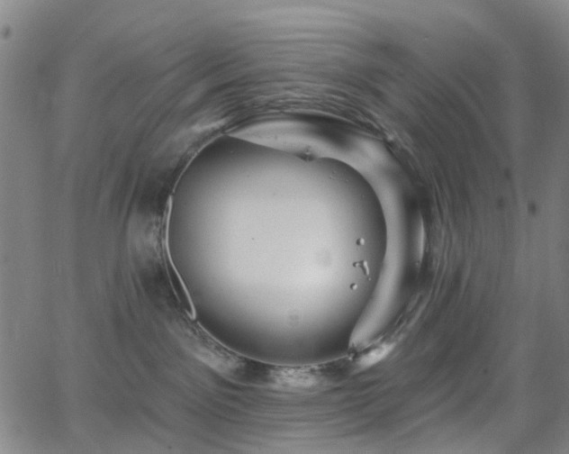 X0000063450141200601201230