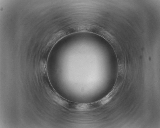 X0000063450142200601201230