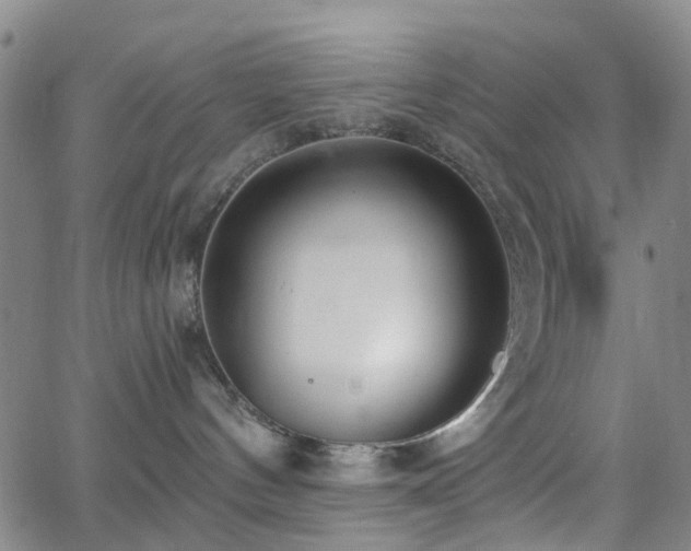 X0000063450144200601201230