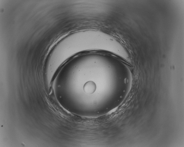 X0000063450146200601201229