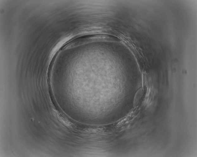 X0000063450147200601201229