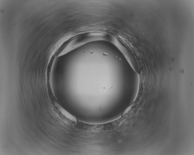 X0000063450148200601201229