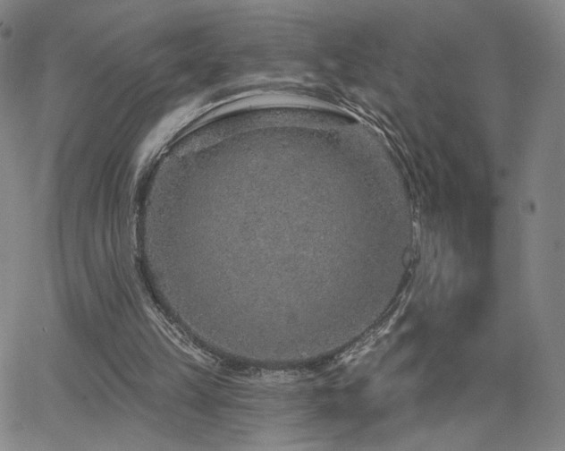 X0000063450149200601201229