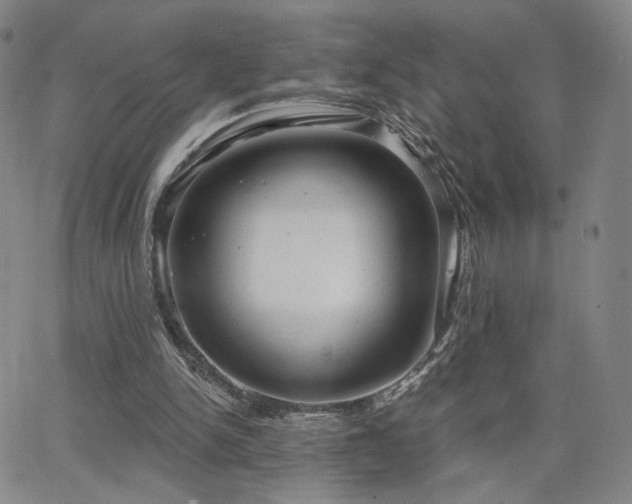 X0000063450150200601201229