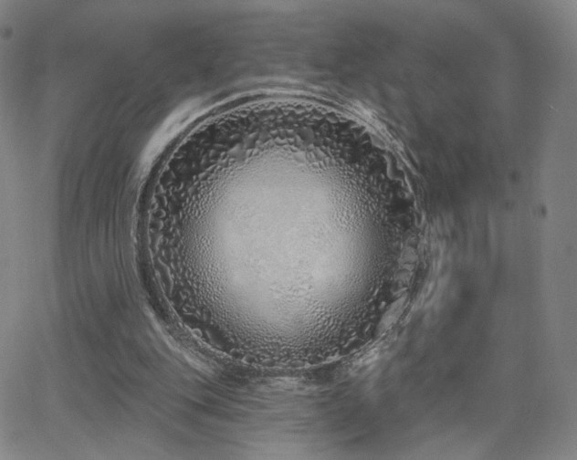 X0000063450151200601201229