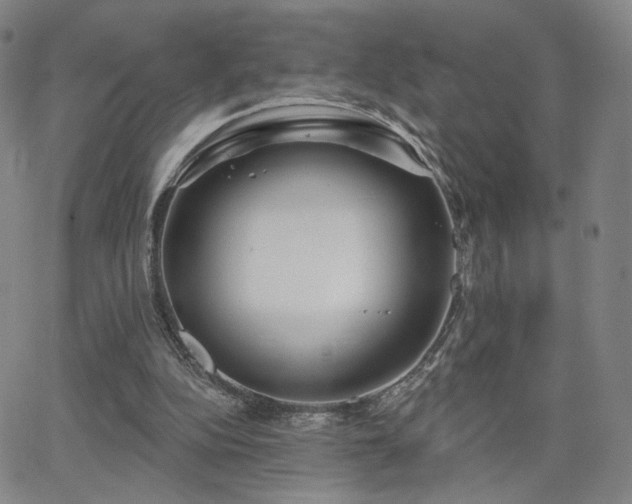 X0000063450152200601201229