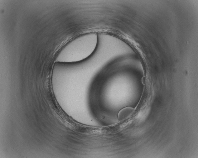 X0000063450153200601201229