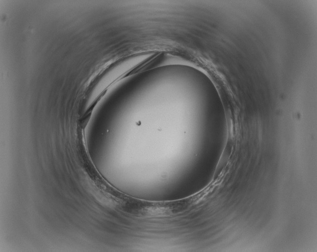 X0000063450154200601201229