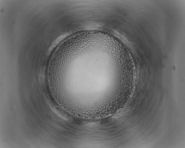 X0000063450155200601201229