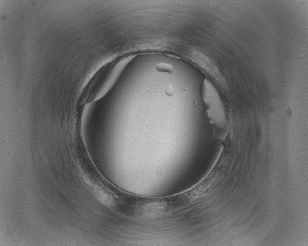 X0000063450156200601201229