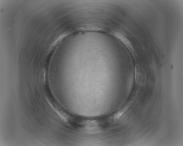 X0000063450157200601201229