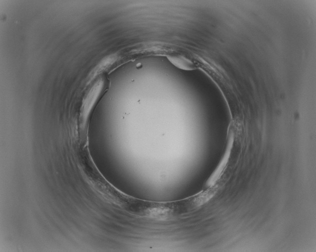 X0000063450158200601201229