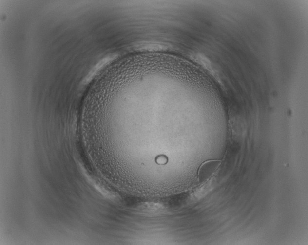 X0000063450159200601201229