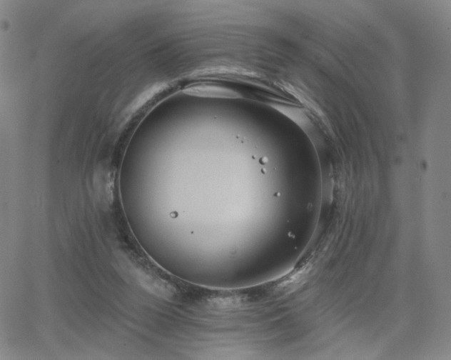 X0000063450160200601201229