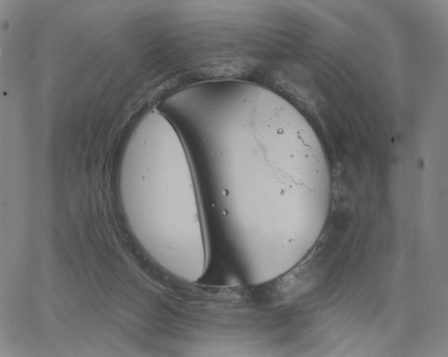 X0000063450162200601201229