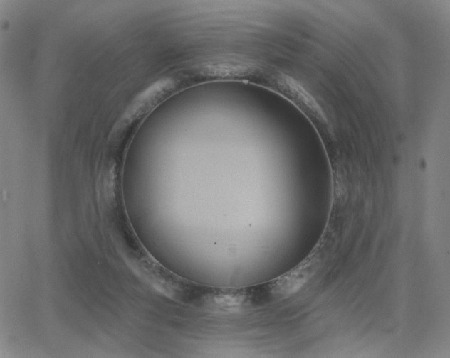 X0000063450163200601201229