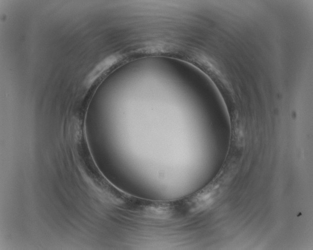 X0000063450164200601201229