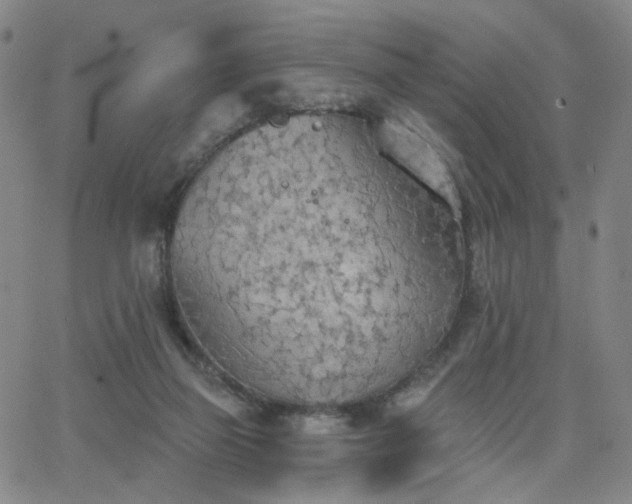 X0000063450165200601201229