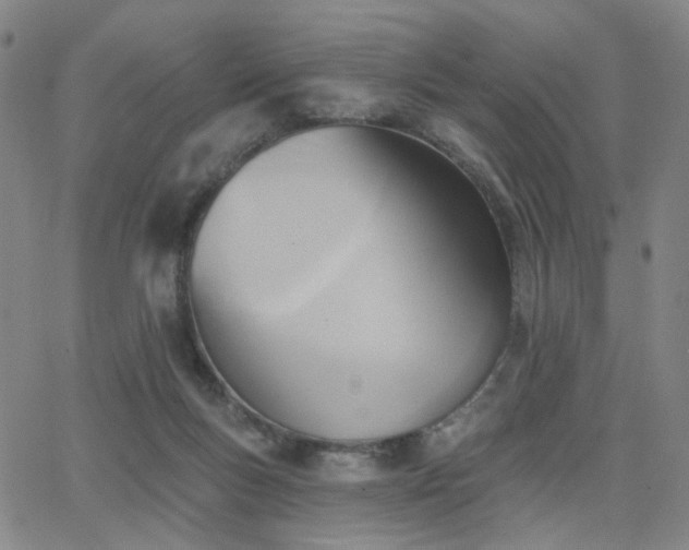 X0000063450167200601201229